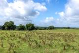 6550 Gibbs Creek Road - Photo 15