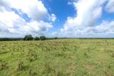 6550 Gibbs Creek Road - Photo 16