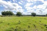 6550 Gibbs Creek Road - Photo 19