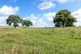 6550 Gibbs Creek Road - Photo 3