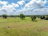 6550 Gibbs Creek Road - Photo 31