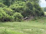 TBD Arnold Palmer Lane - Photo 15