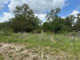 2523 County Road 133 - Photo 7