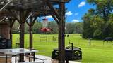 10432 Sammys Rd (+/-89 Acres) - Photo 23