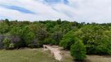 10432 Sammys Rd (+/-89 Acres) - Photo 44