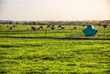 20751 Fm 1155 E - Photo 43