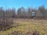 17668 Highway 21 - Photo 22