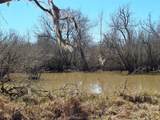 17668 Highway 21 - Photo 24