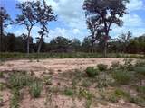 3327 Deer Ledge - Photo 12