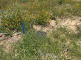 3327 Deer Ledge - Photo 3