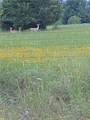 9163 Fm 46 - Photo 48