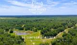TBD County Road 405 (+/- 839 Acres) - Photo 1
