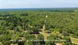 TBD County Road 405 (+/- 839 Acres) - Photo 10