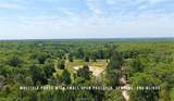 TBD County Road 405 (+/- 839 Acres) - Photo 11