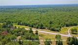 TBD County Road 405 (+/- 839 Acres) - Photo 13