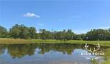 TBD County Road 405 (+/- 839 Acres) - Photo 18