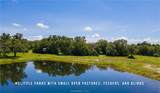 TBD County Road 405 (+/- 839 Acres) - Photo 2
