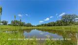 TBD County Road 405 (+/- 839 Acres) - Photo 4