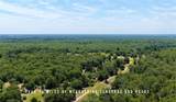 TBD County Road 405 (+/- 839 Acres) - Photo 5