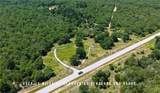 TBD County Road 405 (+/- 839 Acres) - Photo 9