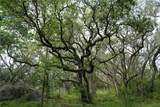0 Shorebird Lane - Photo 5
