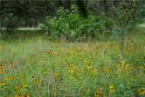 0 Shorebird Lane - Photo 7