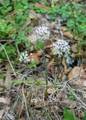 0 Shorebird Lane - Photo 8