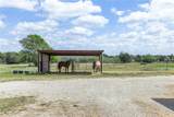 131 Cr 279 - Photo 15
