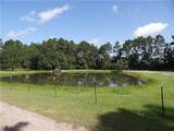 10967 Fm 1486 Road - Photo 18