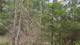 Lot 10 Sweetleaf Lane - Photo 1