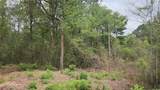 Lot 10 Sweetleaf Lane - Photo 2