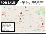 3320 County Road 430 - Photo 3