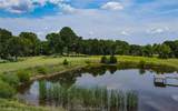TBD Fm 166 (+/-54 Acres) - Photo 10