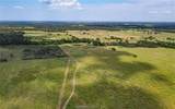 TBD Fm 166 (+/-54 Acres) - Photo 17