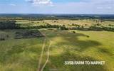 TBD Fm 166 (+/-54 Acres) - Photo 6
