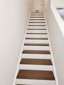 2438 Pintail Loop - Photo 10