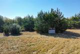 5 acres Manning Lane - Photo 10