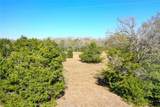 5 acres Manning Lane - Photo 2
