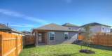1235 Amistad Loop - Photo 7
