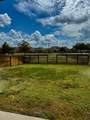 1206 Amistad Loop - Photo 18