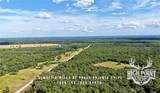 TBD Ranch Road Off Cr 405 (+/- 175 Acres) - Photo 5