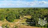 TBD Ranch Road Off Cr 405 (+/- 175 Acres) - Photo 6