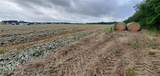 6939 Cedar Creek Road - Photo 4