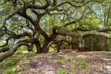 8233 Quebe Road - Photo 4