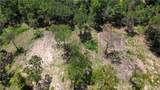 TBD County Road 201 Loop - Photo 1