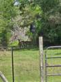 3284 Fazzino Lane - Photo 36