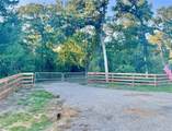9226 Stetson Drive - Photo 2