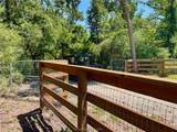 9226 Stetson Drive - Photo 5