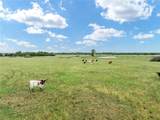 523 Lcr 667 - Photo 13