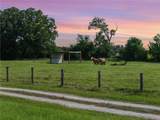 11043 County Road 336 - Photo 1